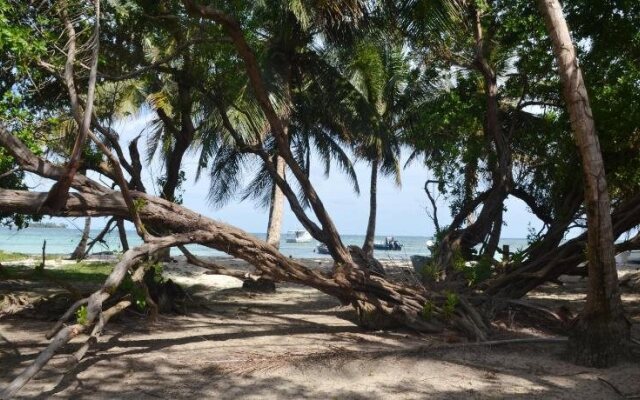 Islander House On Rocky Cay Beach