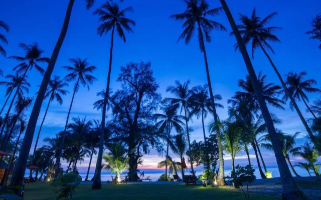 Medee Resort