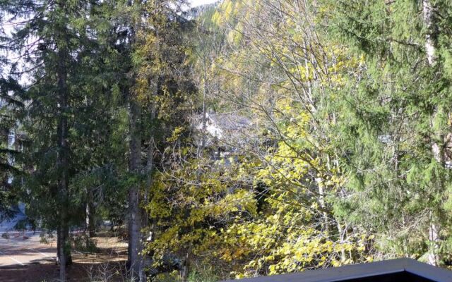 Villa Grand Roc Argentière 31066