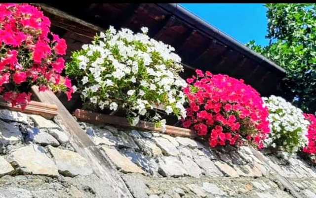 Holiday Apartment Ulivella Tuscany Garfagnana