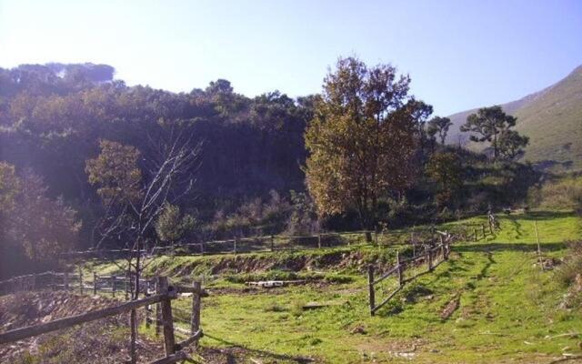 Azienda Agricola 25 Ponti