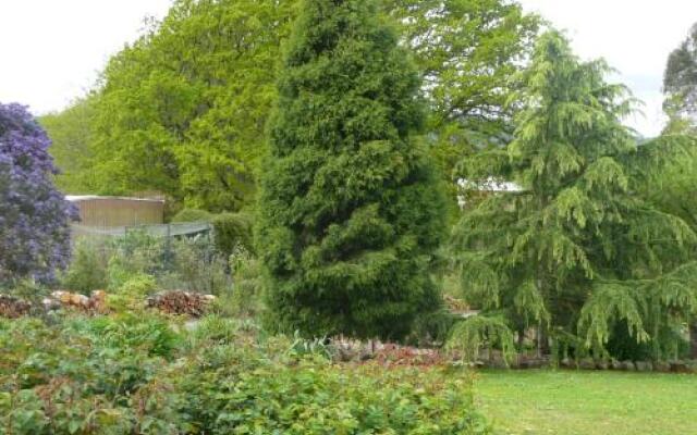 Wisteria Lodge Bed and Breakfast