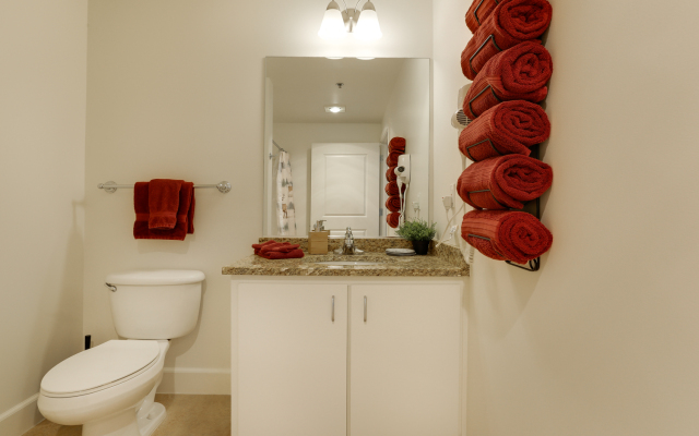 Bright Recently Upgraded Apt – Downtown Location