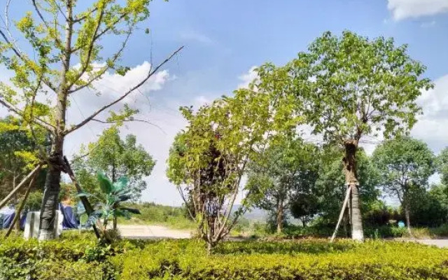 Wencheng Shiyu Homestay