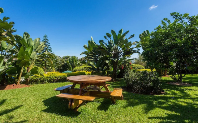 Shine Country Resort Hotel - Hostel