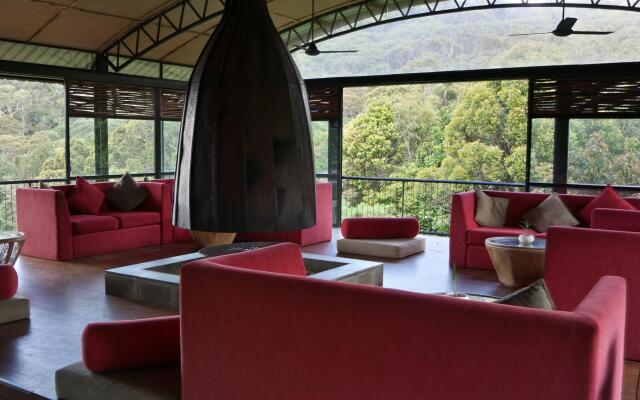 The Rainforest Ecolodge