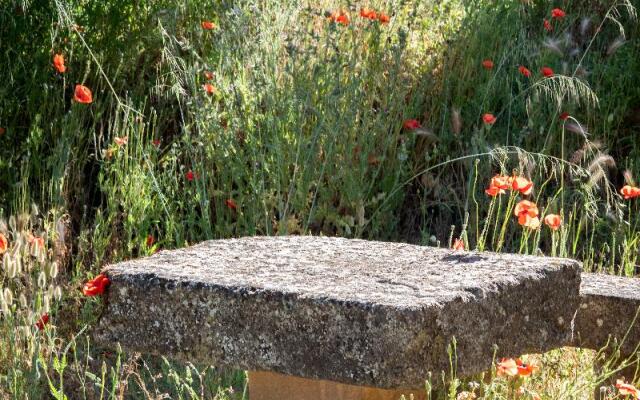 Soko Hotels Pont du Gard