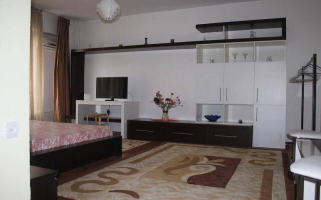 Unirii Luxury apartament