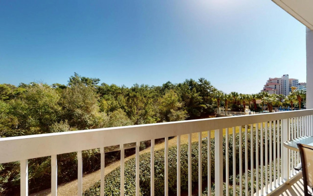 Summit 205-205A LOCKOUT