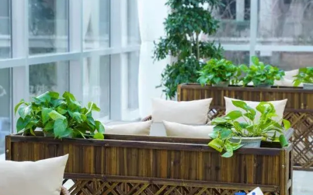 Xining Golden Altitude 2200 Qinghai-Tibet Plateau Wellness Center