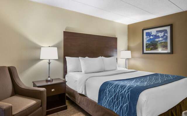 Comfort Inn Grand Rapids Airport