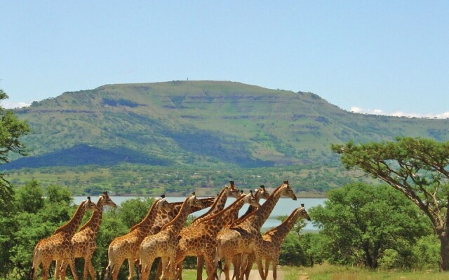 SpionKop Lodge