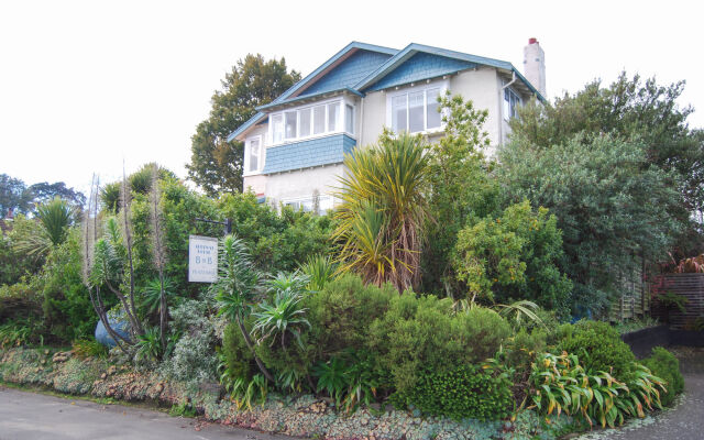 Arden Street House
