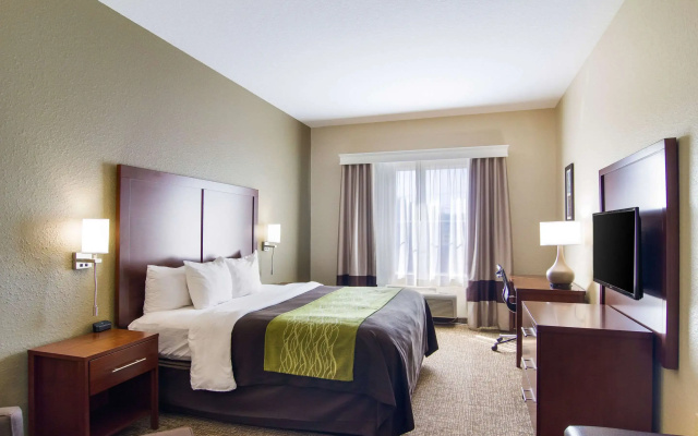 Comfort Inn Blackshear Hwy 84
