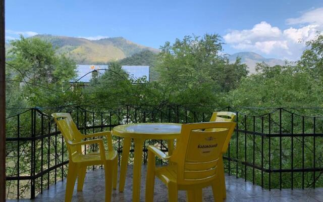 Hotel Villa Borjomi
