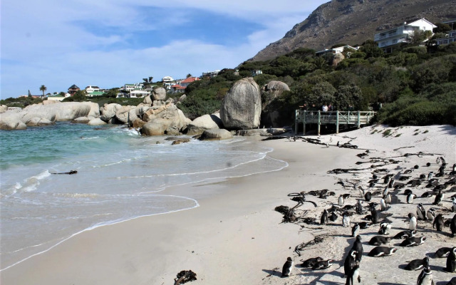 South Shore Beach Apartments, Harrier 202