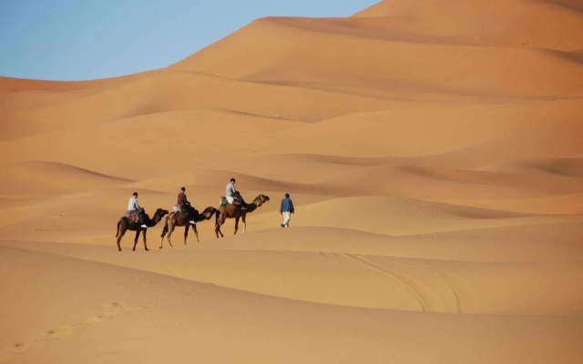 Moonlight Desert Camp