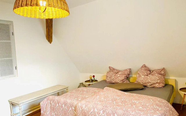 Into The Green Apartment