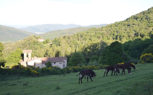 Rectora de Castellar