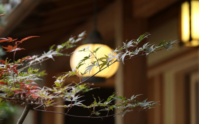 Traditional Guesthouse TONARI