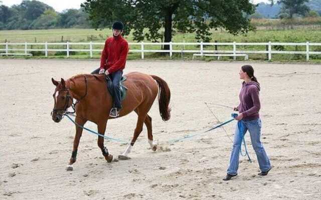 La Bastide Du Logis Du Pin