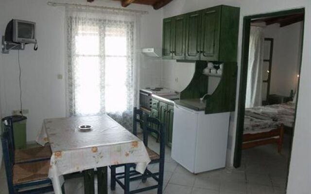 Camelia Studios