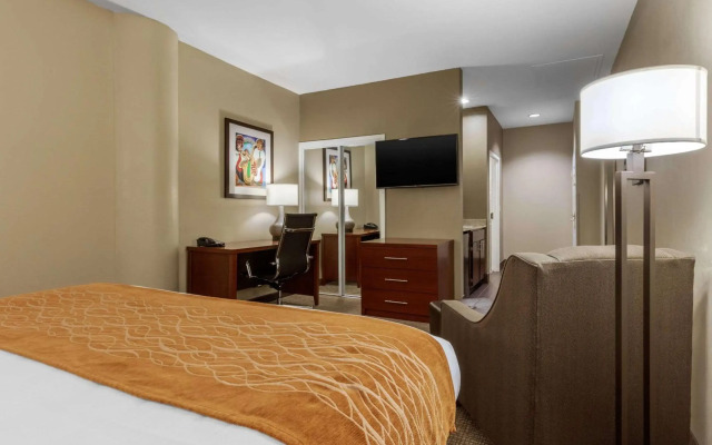 Comfort Inn Memphis Downtown