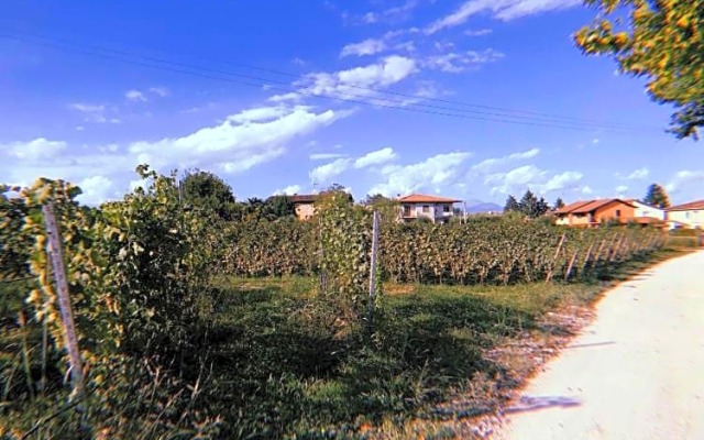 Appartamenti Orchidea