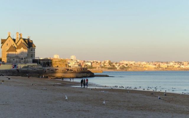 2BR Apt in the City Center and near the Beach