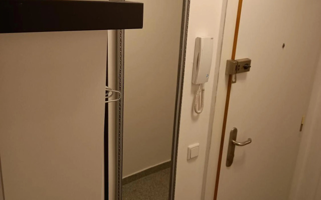 Apartment near downtown