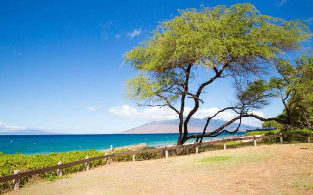 Hale Kamaole #172