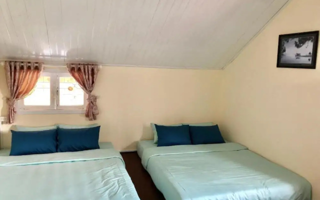 Pine Tree House Da Lat
