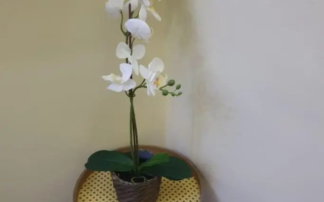 ORCHID House Stylish 3BDR Terrace Duplex Free WiFi DSTV