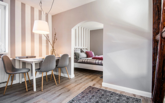 Apartment in Harz With Terrace and Fireplace