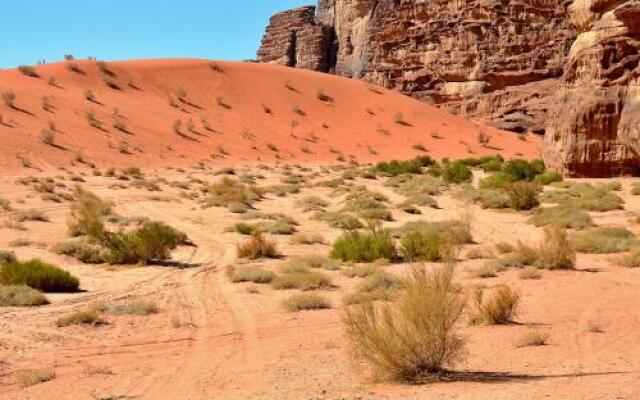 Bed & Breakfast Camp Mohamed Alzwaida