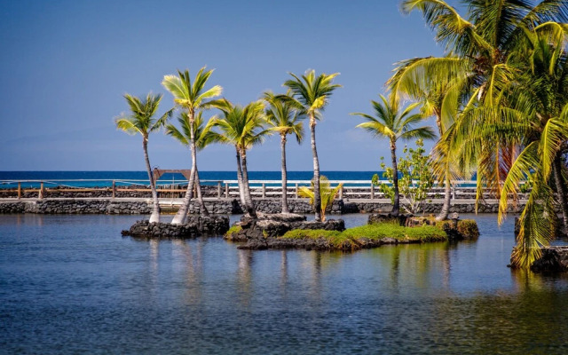 Mauna Lani Terrace Condominium