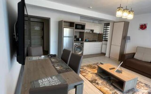 Villa-Garden Apart Predeal-Mountain view