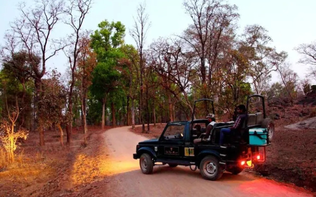 Tuli Tiger Resort