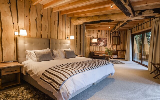 Huilo Huilo Reino Fungi