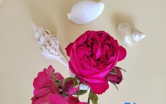 Wanning Riyue Bay Yiye Xiangcun Vacation Apartment