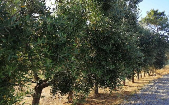 Relais Villa Gandoli