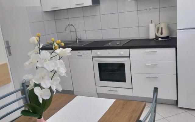 Apartment Banovac