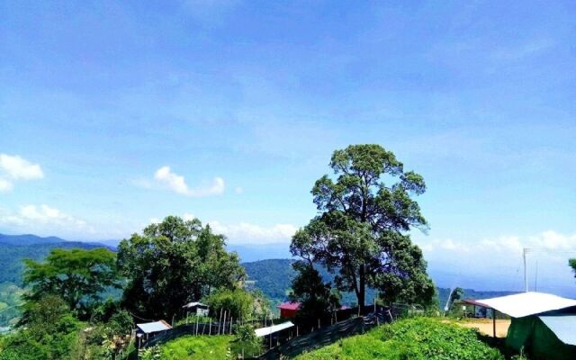 Phu Fa Sai Homestay