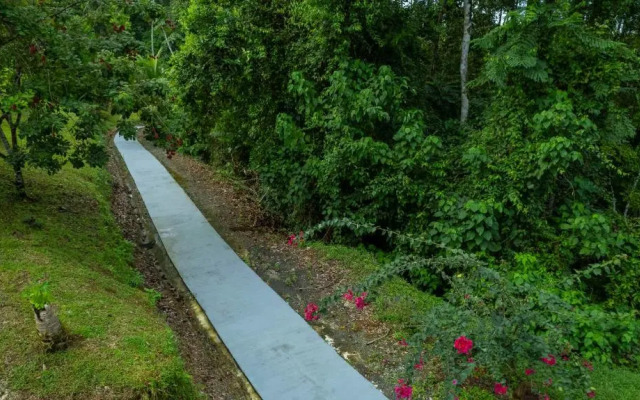 Serenity Rainforest Condos