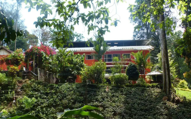 Forest Haven Resort