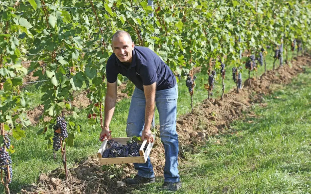 Agriturismo La Rocca