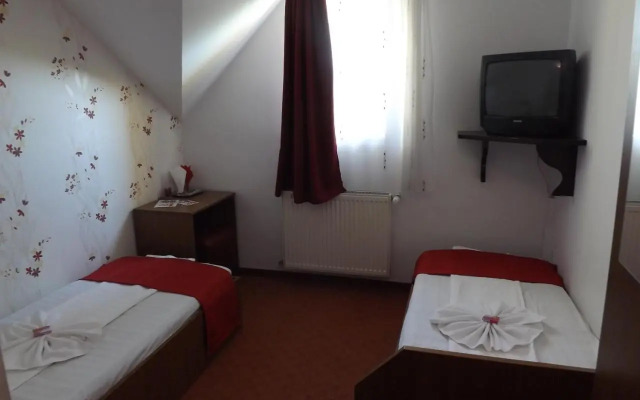 Pension La Viorel