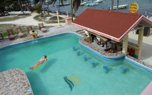 Tropical Paradise Express