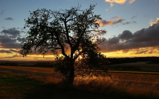 Apartment in Geiersthal