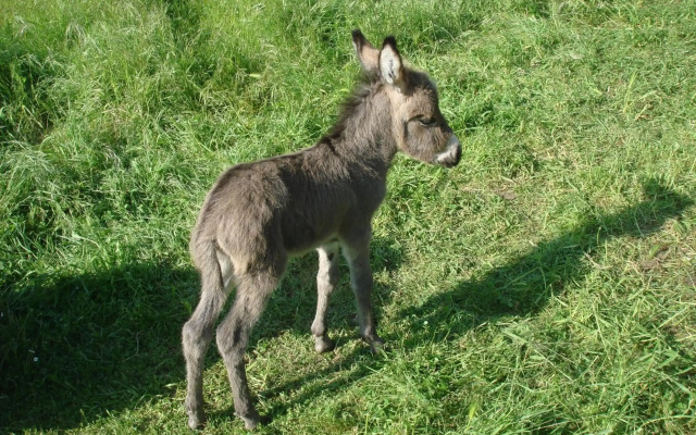La Macchia